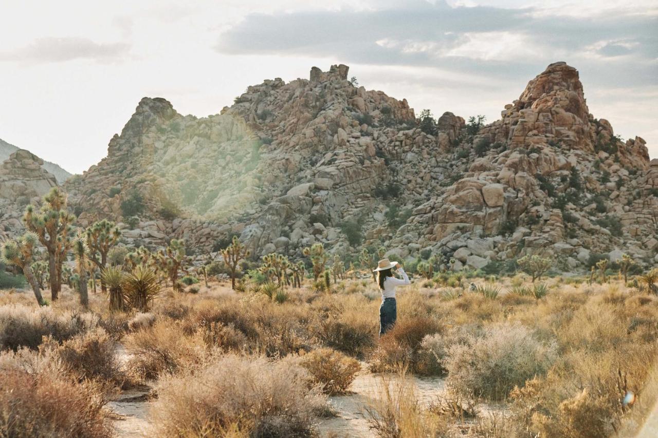 Field Station Joshua Tree Hotel Yucca Valley Kültér fotó